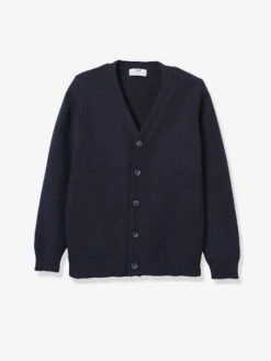Cardigan Classique Garçon CYRILLUS Bleu - Cyrillus