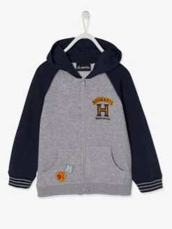Gilet Zippé Harry Potter® Garçon Gris Chiné - Harry Potter