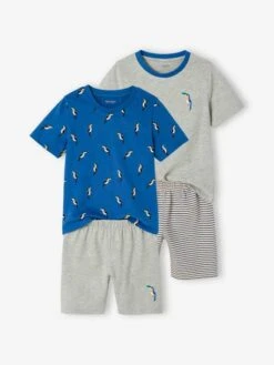Lot De 2 Pyjashorts "Toucans" Garçon Bleu électrique - Vertbaudet