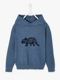 Pull à Capuche Motif Dinosaure En Flockage Velours Bleu As Swatch - Vertbaudet