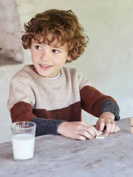 Pull Colorblock Garçon Beige/chocolat - Vertbaudet – Image 5