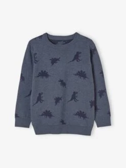 Pull Jacquard Motifs Dinosaures Garçon Bleu Chiné - Vertbaudet