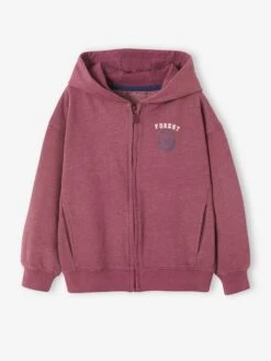 Sweat à Capuche Zippé Animation Poitrine Garçon Gris Foncé - Vertbaudet