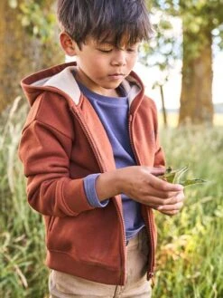 Sweat à Capuche Zippé Garçon Marron Fonce - Vertbaudet