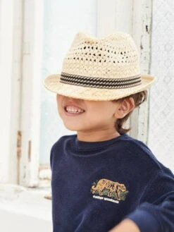 Sweat En éponge Motif Tigre Poitrine Garçon Bleu Foncé - Vertbaudet