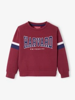 Sweat Garçon Harvard® Rouge - Harvard