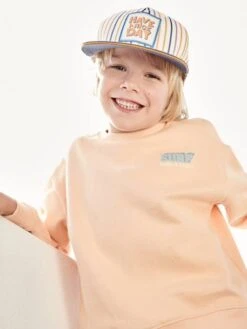 Sweat Garçon Maxi Motif Dos Abricot Poudré - Vertbaudet