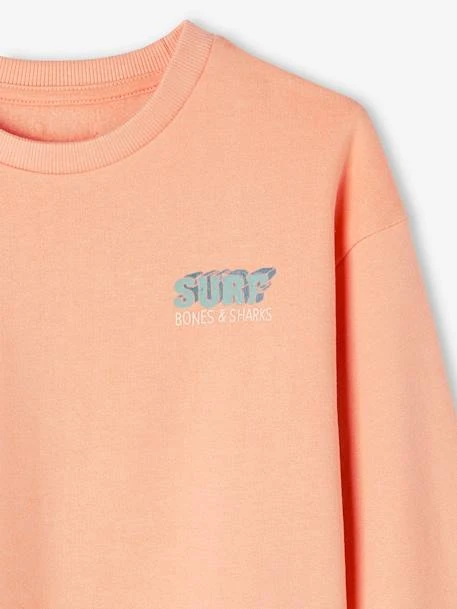 Sweat Garçon Maxi Motif Dos Abricot Poudré - Vertbaudet – Image 4