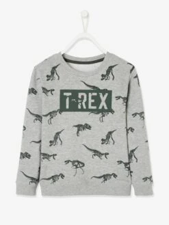 Sweat Garçon Motif Dinosaure Gris Chiné - Vertbaudet