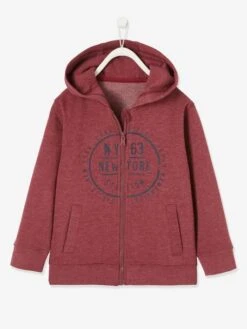 Sweat Zippé à Capuche Basics Garçon Motif Graphique Noisette - Vertbaudet